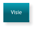 Visie