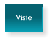 Visie